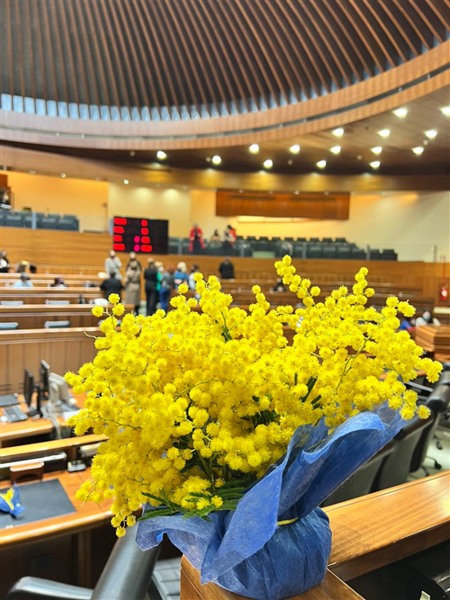 Le sindache sarde in Consiglio regionale celebrano la giornata internazionale delle donne